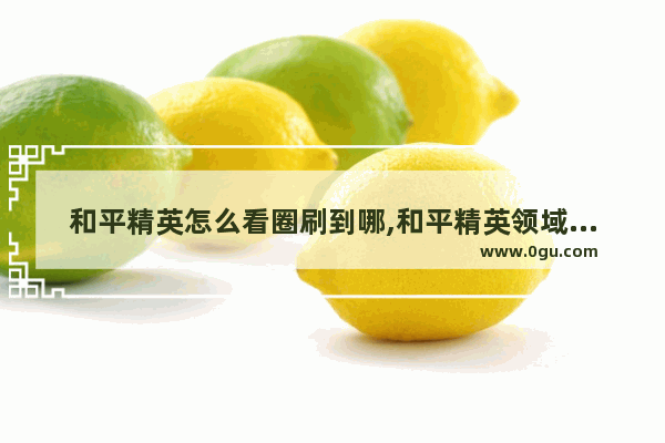 和平精英怎么看圈刷到哪,和平精英领域定位