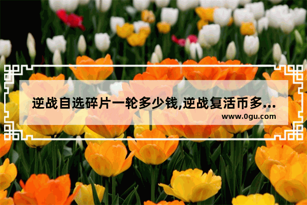 逆战自选碎片一轮多少钱,逆战复活币多少钱