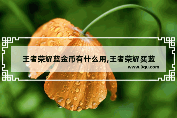 王者荣耀蓝金币有什么用,王者荣耀买蓝