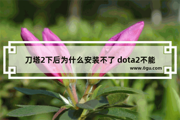 刀塔2下后为什么安装不了 dota2不能安装