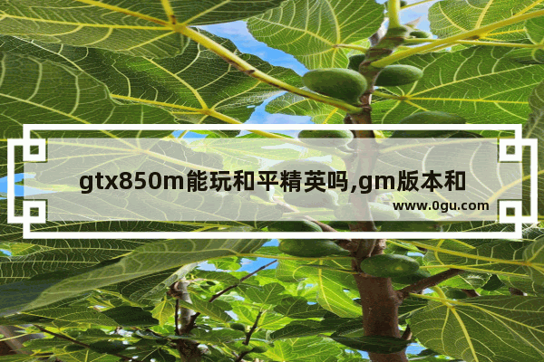 gtx850m能玩和平精英吗,gm版本和平精英