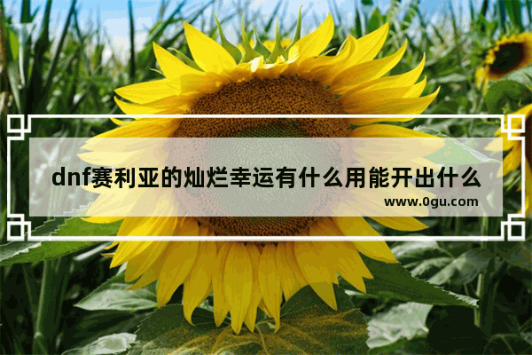 dnf赛利亚的灿烂幸运有什么用能开出什么,地下城与勇士 幸运勇士