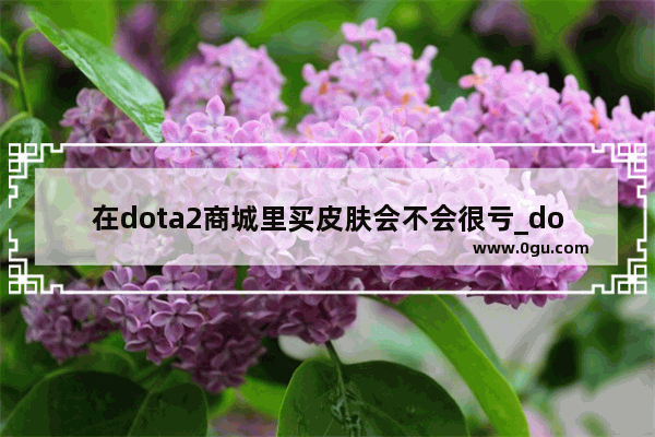 在dota2商城里买皮肤会不会很亏_dota2买不了皮肤