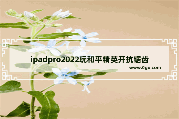 ipadpro2022玩和平精英开抗锯齿吗,和平精英2022辅助