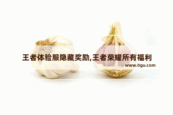 王者体验服隐藏奖励,王者荣耀所有福利