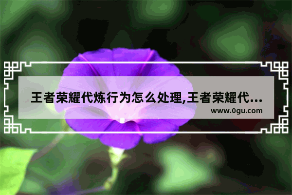 王者荣耀代炼行为怎么处理,王者荣耀代练规则
