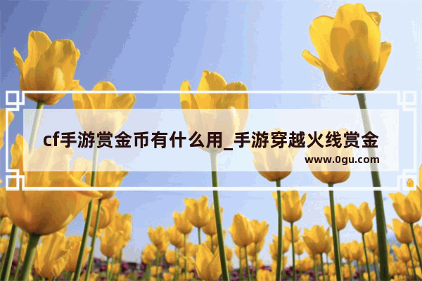 cf手游赏金币有什么用_手游穿越火线赏金币怎么用