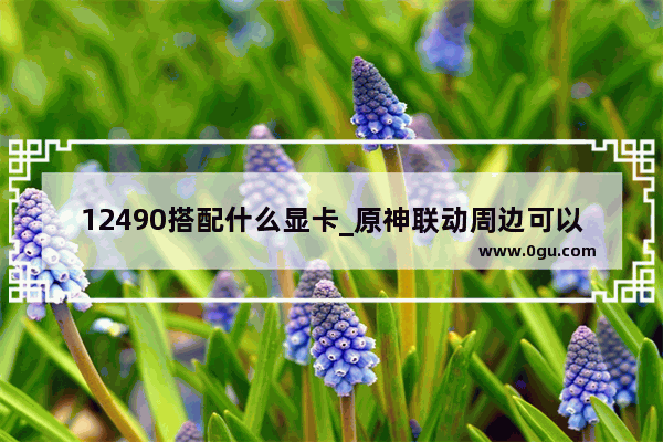 12490搭配什么显卡_原神联动周边可以做什么