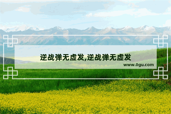 逆战弹无虚发,逆战弹无虚发