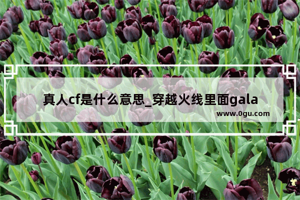 真人cf是什么意思_穿越火线里面gala是真人吗