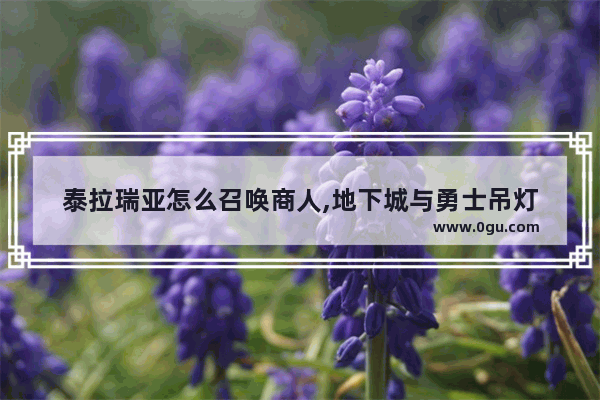 泰拉瑞亚怎么召唤商人,地下城与勇士吊灯