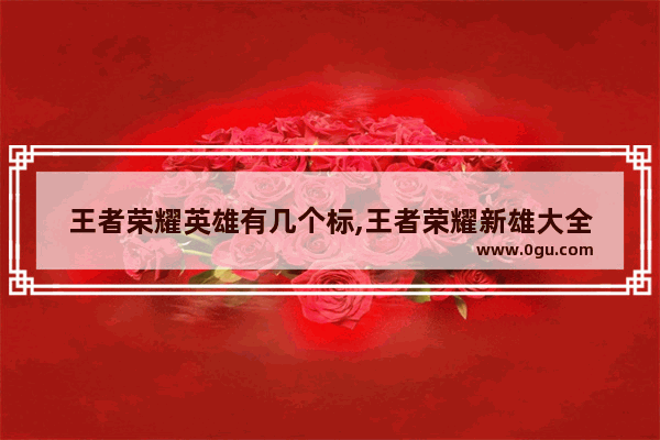 王者荣耀英雄有几个标,王者荣耀新雄大全