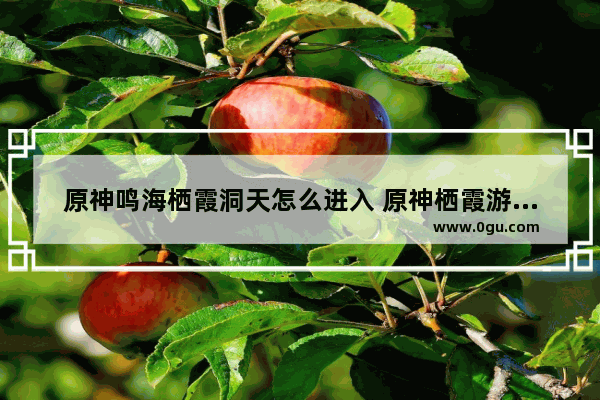 原神鸣海栖霞洞天怎么进入 原神栖霞游玩攻略