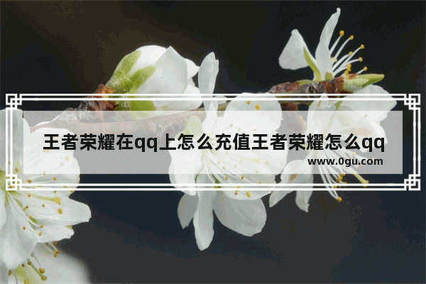 王者荣耀在qq上怎么充值王者荣耀怎么qq充值 王者荣耀qq怎么充值