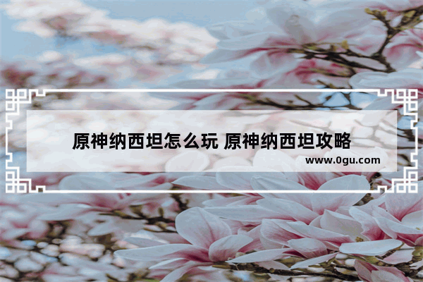 原神纳西坦怎么玩 原神纳西坦攻略