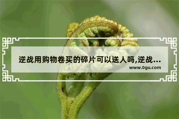 逆战用购物卷买的碎片可以送人吗,逆战商城赠送