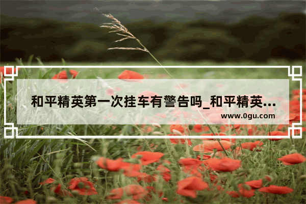 和平精英第一次挂车有警告吗_和平精英坐挂车会掉印记吗