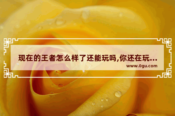 现在的王者怎么样了还能玩吗,你还在玩王者荣耀