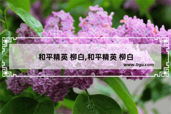 和平精英 柳白,和平精英 柳白