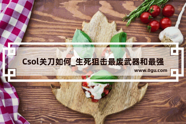 Csol关刀如何_生死狙击最废武器和最强武器
