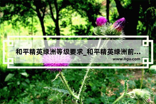 和平精英绿洲等级要求_和平精英绿洲前往南风海湾任务怎么过