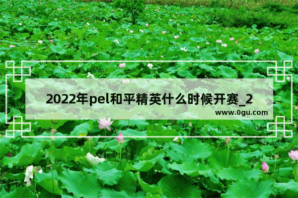 2022年pel和平精英什么时候开赛_2021和平精英世界冠军