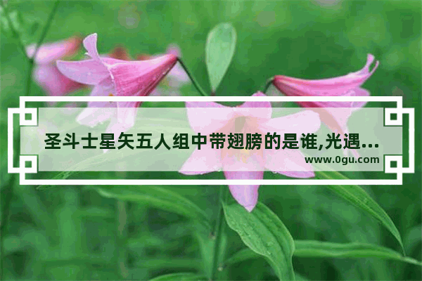圣斗士星矢五人组中带翅膀的是谁,光遇白鸟别人可见