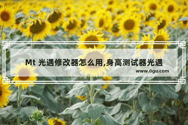 Mt 光遇修改器怎么用,身高测试器光遇