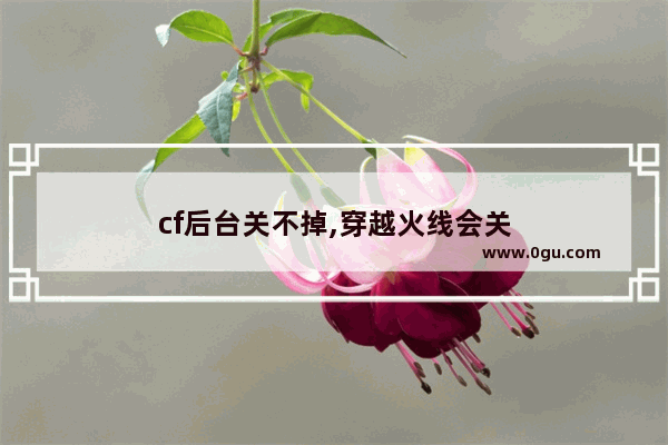 cf后台关不掉,穿越火线会关