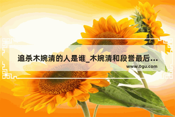 追杀木婉清的人是谁_木婉清和段誉最后毒怎么解的