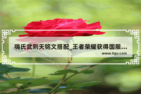 嗨氏武则天铭文搭配_王者荣耀获得国服貂蝉的人是谁