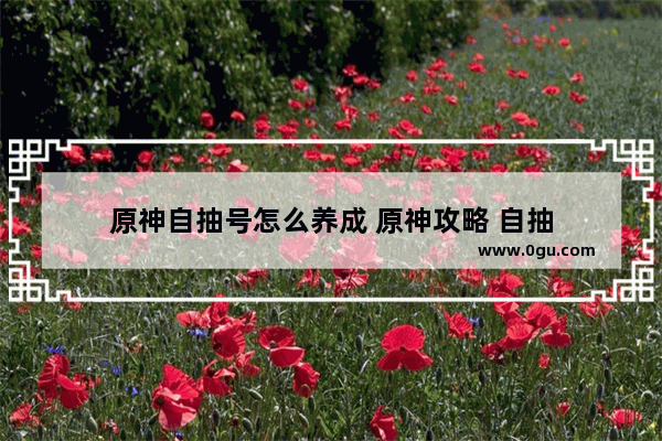 原神自抽号怎么养成 原神攻略 自抽