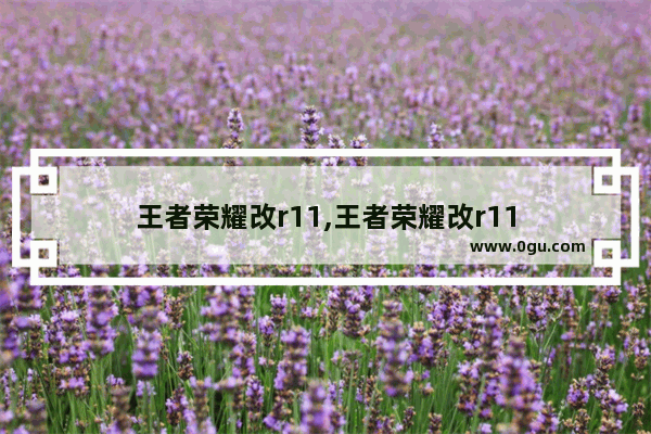 王者荣耀改r11,王者荣耀改r11