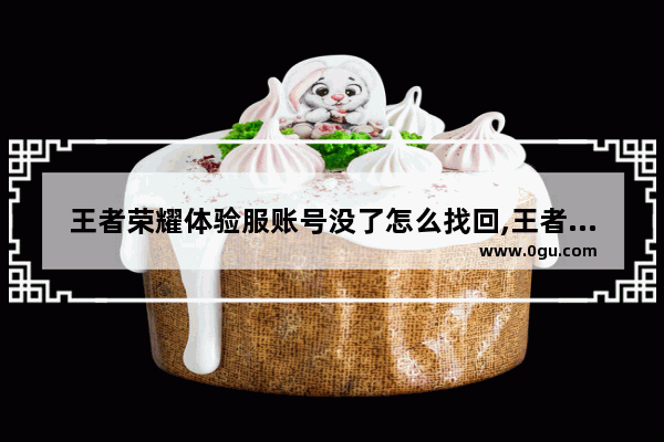 王者荣耀体验服账号没了怎么找回,王者荣耀体验服qq号