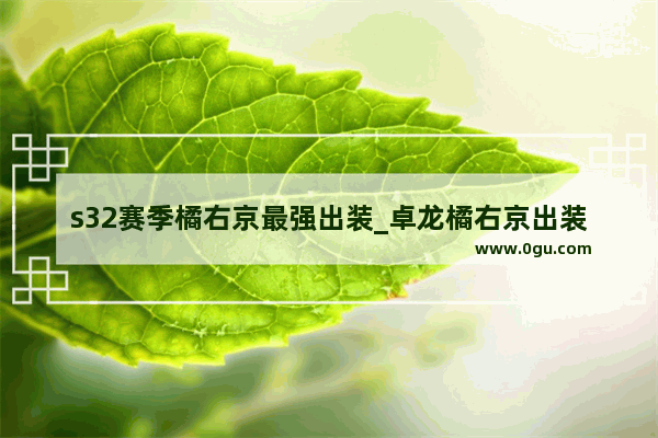 s32赛季橘右京最强出装_卓龙橘右京出装