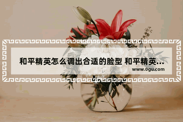 和平精英怎么调出合适的脸型 和平精英全部脸型