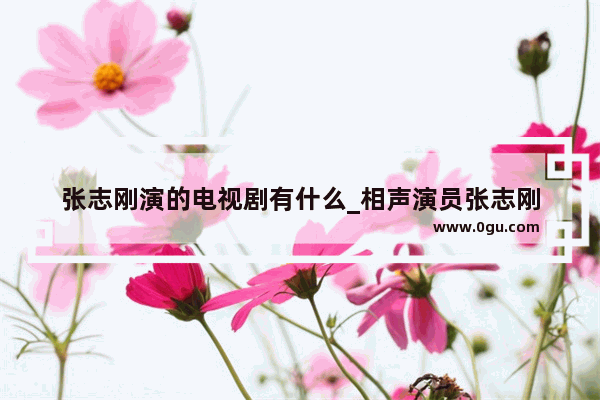 张志刚演的电视剧有什么_相声演员张志刚