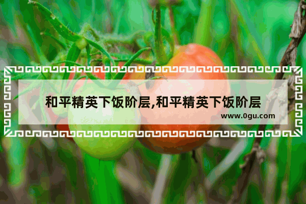 和平精英下饭阶层,和平精英下饭阶层