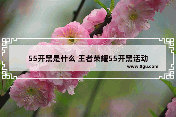 55开黑是什么 王者荣耀55开黑活动