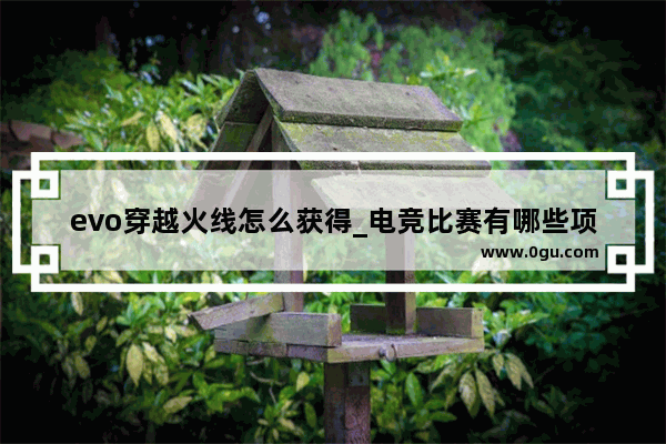 evo穿越火线怎么获得_电竞比赛有哪些项目
