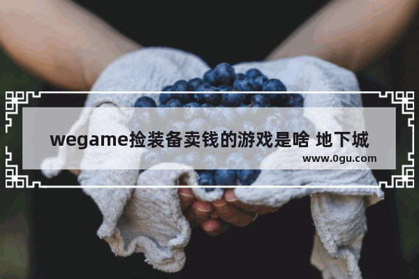 wegame捡装备卖钱的游戏是啥 地下城与勇士附件