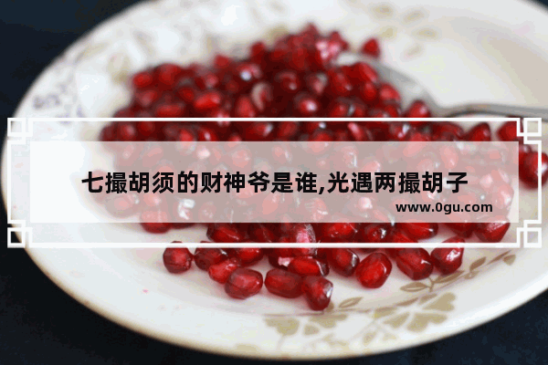 七撮胡须的财神爷是谁,光遇两撮胡子