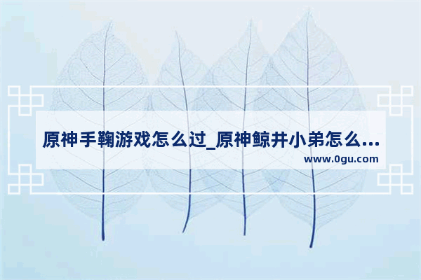 原神手鞠游戏怎么过_原神鲸井小弟怎么找手鞠