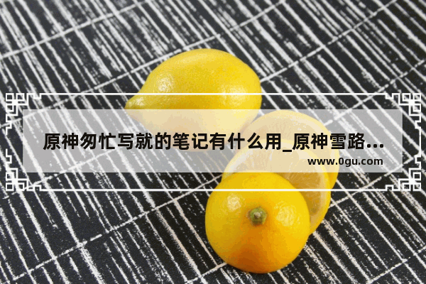原神匆忙写就的笔记有什么用_原神雪路之章第1幕怎么录