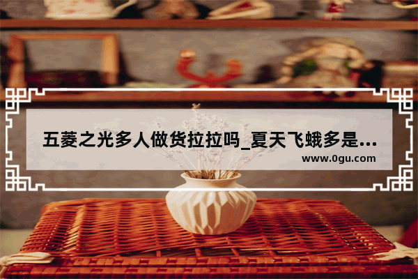 五菱之光多人做货拉拉吗_夏天飞蛾多是什么原因