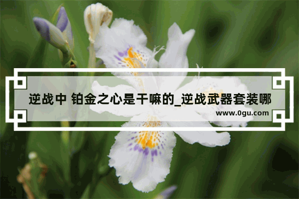 逆战中 铂金之心是干嘛的_逆战武器套装哪件武器好逆战武器套装核心武器怎么选