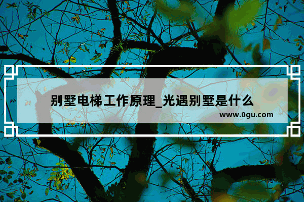 别墅电梯工作原理_光遇别墅是什么