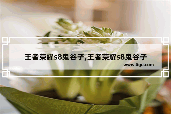 王者荣耀s8鬼谷子,王者荣耀s8鬼谷子