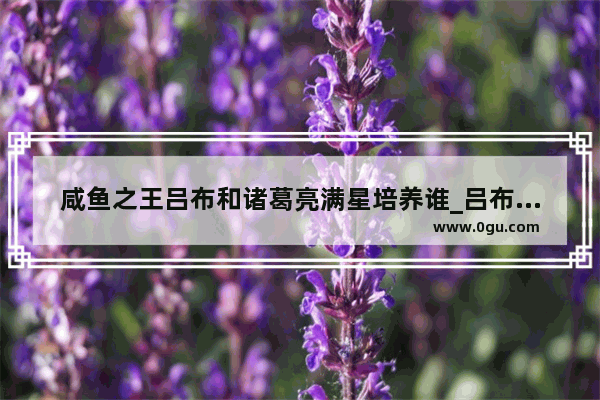 咸鱼之王吕布和诸葛亮满星培养谁_吕布见过诸葛亮没有
