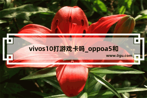 vivos10打游戏卡吗_oppoa5和oppor9splus哪个打王者不卡